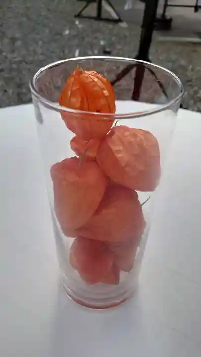 函館八幡宮の自然