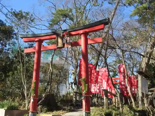 亀岡八幡宮（亀岡八幡神社）の鳥居