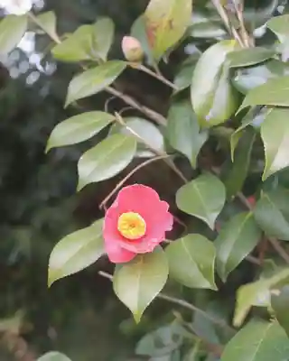酒列磯前神社(茨城県)