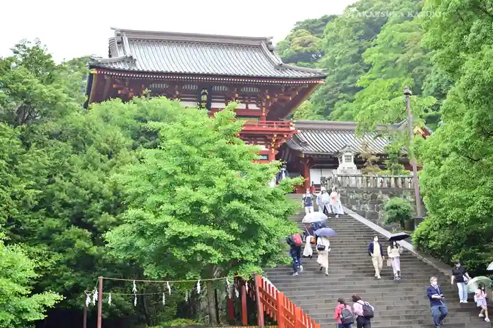 鶴岡八幡宮(神奈川県)