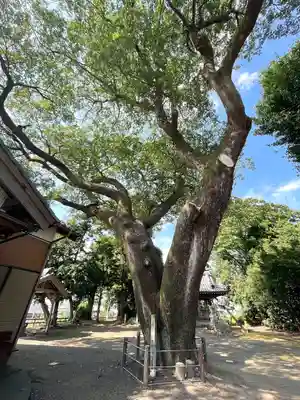 神明神社(岐阜県)