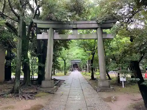 赤坂氷川神社の鳥居