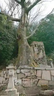 恩徳寺古立石不動明王(岡山県)
