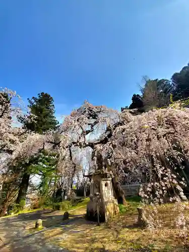 大隣寺(福島県)