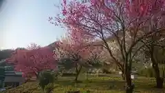 立花神社の庭園