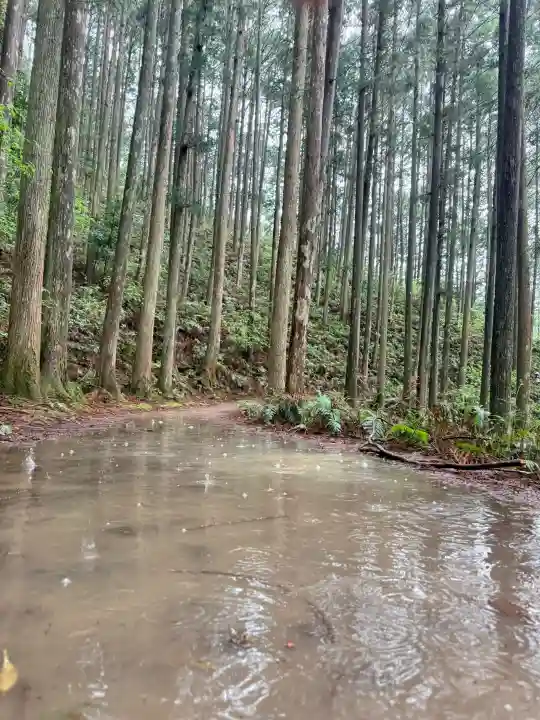 熊野本宮大社の{uncategorized: "未分類", other: "その他", undefined: "問題あり", building: "その他建物", grave: "お墓", sacred_gate: "鳥居", guardian: "狛犬", statue: "像", buddha: "仏像", history: "歴史", nature: "自然", garden: "庭園", animal: "動物", pagoda: "塔", temizu: "手水舎", mountain_gate: "山門・神門", sanctuary: "本殿・本堂", subordinate: "末社・摂社", art: "芸術", scenery: "景色", jizo: "地蔵", ema: "絵馬", goshuin: "御朱印", omikuji: "おみくじ", items: "授与品その他", amulet: "お守り", goshuincho: "御朱印帳", eats: "食事", festival: "お祭り", votive_dance: "神楽", shichigosan: "七五三参", wedding: "結婚式", experience: "体験その他", initially: "初詣", around: "周辺", anti_infection: "感染症対策"}