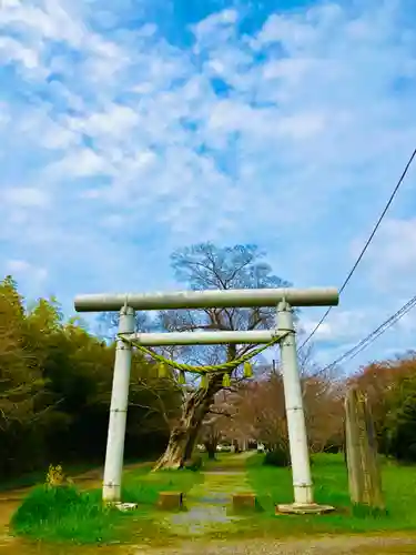金村別雷神社(茨城県)