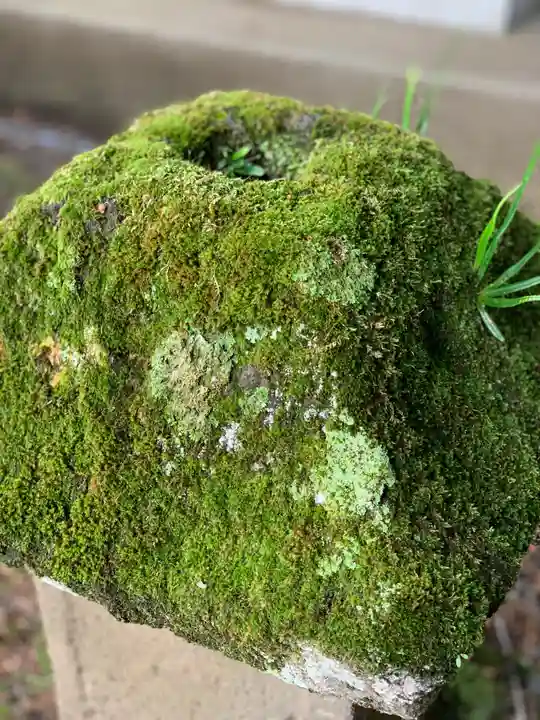 淺間神社(忍野八海)の自然
