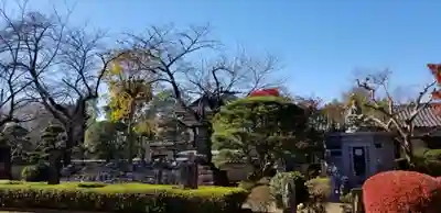 國分寺のその他建物