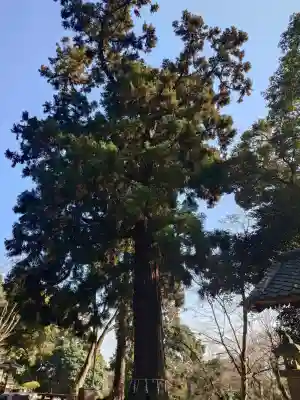 宝樹院小山寺の{uncategorized: "未分類", other: "その他", undefined: "問題あり", building: "その他建物", grave: "お墓", sacred_gate: "鳥居", guardian: "狛犬", statue: "像", buddha: "仏像", history: "歴史", nature: "自然", garden: "庭園", animal: "動物", pagoda: "塔", temizu: "手水舎", mountain_gate: "山門・神門", sanctuary: "本殿・本堂", subordinate: "末社・摂社", art: "芸術", scenery: "景色", jizo: "地蔵", ema: "絵馬", goshuin: "御朱印", omikuji: "おみくじ", items: "授与品その他", amulet: "お守り", goshuincho: "御朱印帳", eats: "食事", festival: "お祭り", votive_dance: "神楽", shichigosan: "七五三参", wedding: "結婚式", experience: "体験その他", initially: "初詣", around: "周辺", anti_infection: "感染症対策"}