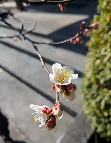 横浜　西方寺(神奈川県)