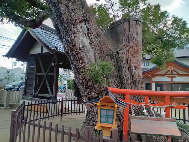 阿遅速雄神社のその他建物