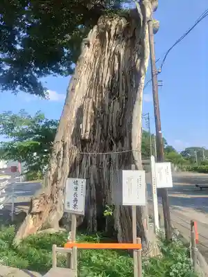 米島香取神社(埼玉県)