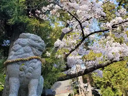 天が岡若宮神社の狛犬