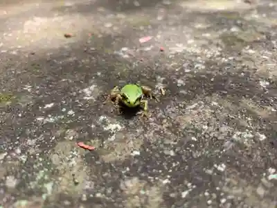 西原神社の動物