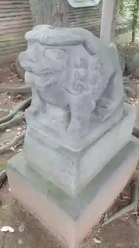 赤坂氷川神社の狛犬