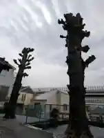 根岸町王子稲荷社の{uncategorized: "未分類", other: "その他", undefined: "問題あり", building: "その他建物", grave: "お墓", sacred_gate: "鳥居", guardian: "狛犬", statue: "像", buddha: "仏像", history: "歴史", nature: "自然", garden: "庭園", animal: "動物", pagoda: "塔", temizu: "手水舎", mountain_gate: "山門・神門", sanctuary: "本殿・本堂", subordinate: "末社・摂社", art: "芸術", scenery: "景色", jizo: "地蔵", ema: "絵馬", goshuin: "御朱印", omikuji: "おみくじ", items: "授与品その他", amulet: "お守り", goshuincho: "御朱印帳", eats: "食事", festival: "お祭り", votive_dance: "神楽", shichigosan: "七五三参", wedding: "結婚式", experience: "体験その他", initially: "初詣", around: "周辺", anti_infection: "感染症対策"}