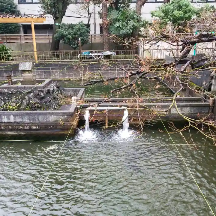鮫州八幡神社の庭園