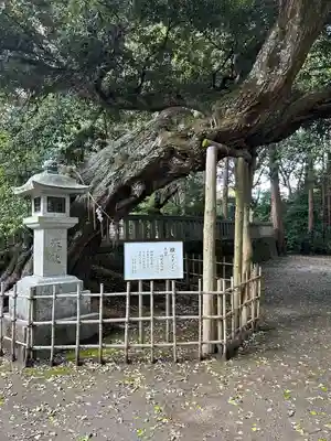 莫越山神社(千葉県)