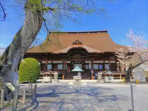 曼陀羅寺の本殿・本堂