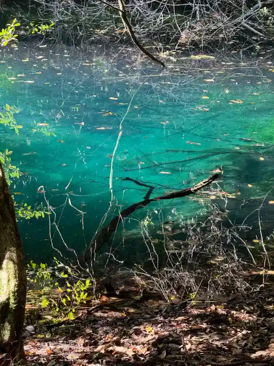 丸池神社(山形県)