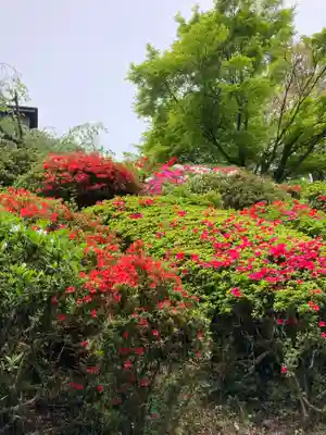 石山寺(滋賀県)