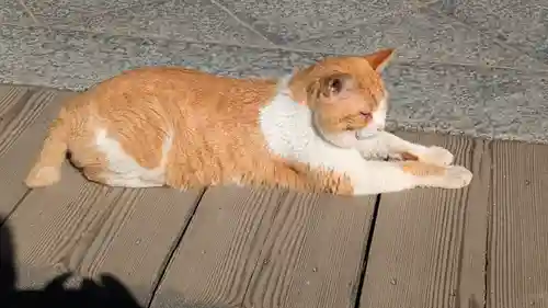 智恩寺(京都府)