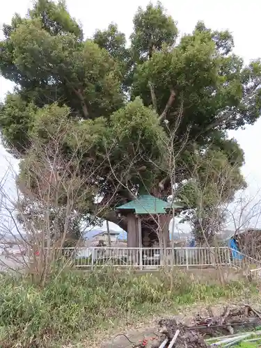 蓮台寺のその他建物