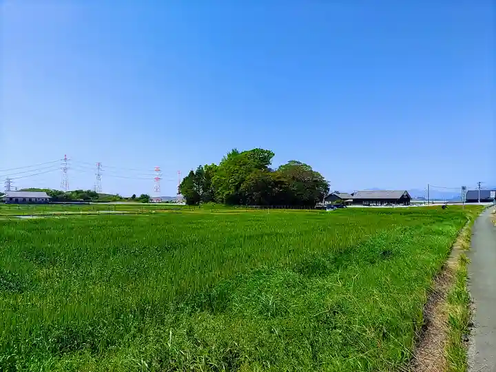 富岡神社の自然