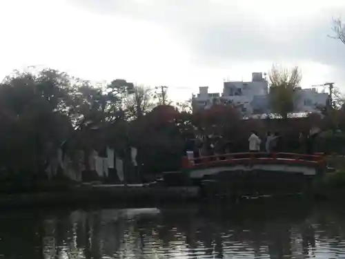 鶴岡八幡宮の庭園