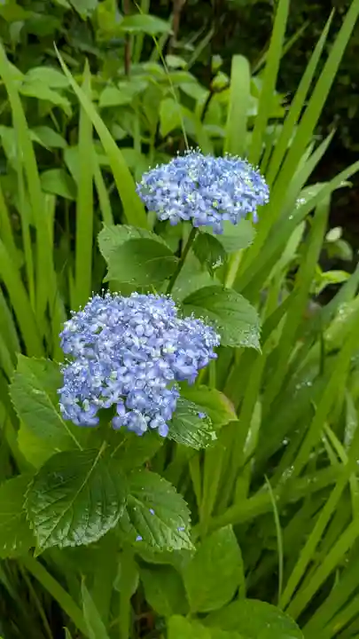 真正極楽寺(真如堂)(京都府)