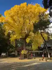 平塚八幡宮(神奈川県)