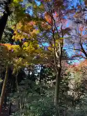 山宮浅間神社(静岡県)