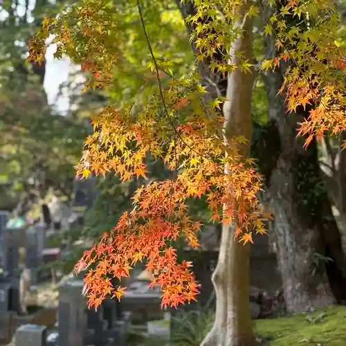 伊勢の国 四天王寺(三重県)
