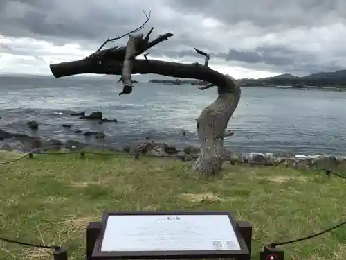 琴平神社の自然