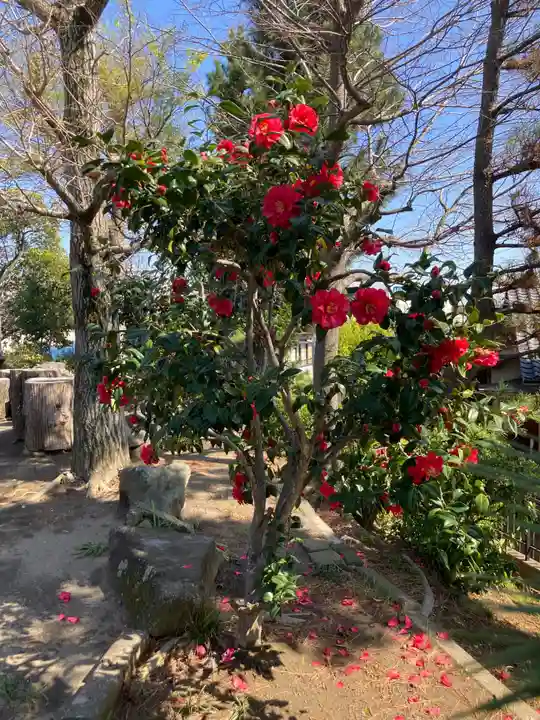 薬王寺(神奈川県)