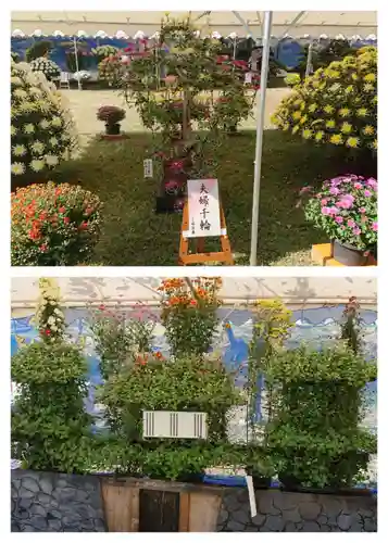 眞田神社の自然