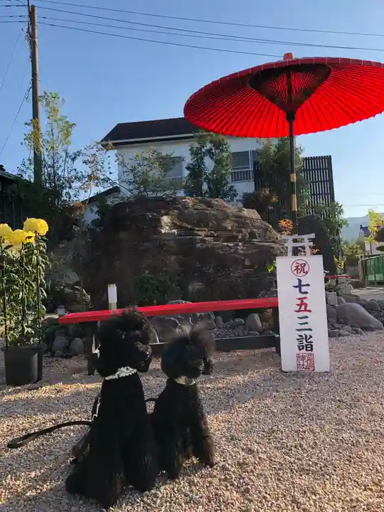 粟嶋神社の七五三参