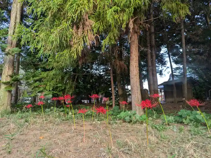 伏木香取神社(茨城県)