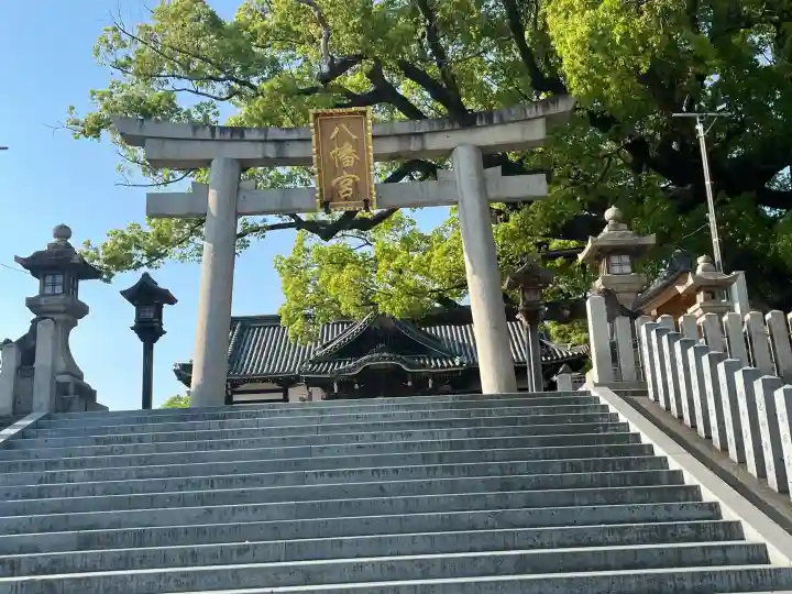 百舌鳥八幡宮の{uncategorized: "未分類", other: "その他", undefined: "問題あり", building: "その他建物", grave: "お墓", sacred_gate: "鳥居", guardian: "狛犬", statue: "像", buddha: "仏像", history: "歴史", nature: "自然", garden: "庭園", animal: "動物", pagoda: "塔", temizu: "手水舎", mountain_gate: "山門・神門", sanctuary: "本殿・本堂", subordinate: "末社・摂社", art: "芸術", scenery: "景色", jizo: "地蔵", ema: "絵馬", goshuin: "御朱印", omikuji: "おみくじ", items: "授与品その他", amulet: "お守り", goshuincho: "御朱印帳", eats: "食事", festival: "お祭り", votive_dance: "神楽", shichigosan: "七五三参", wedding: "結婚式", experience: "体験その他", initially: "初詣", around: "周辺", anti_infection: "感染症対策"}