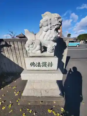 祥雲寺の狛犬