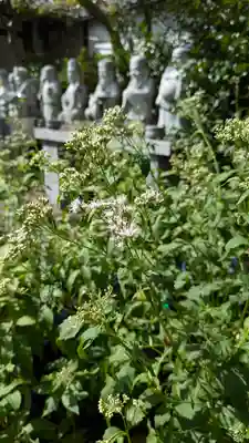 行願寺（革堂）(京都府)