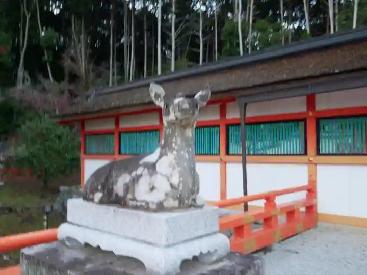 大原野神社の狛犬