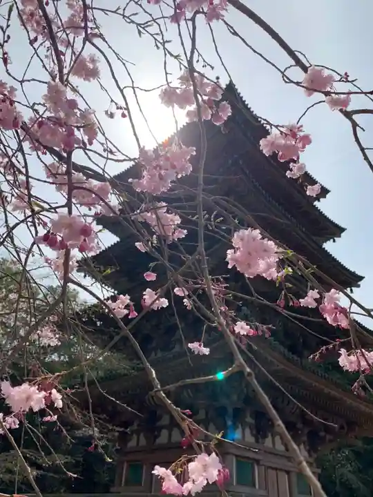 醍醐寺(京都府)