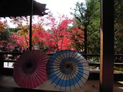 勝林寺(京都府)