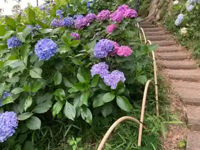 妙楽寺(神奈川県)