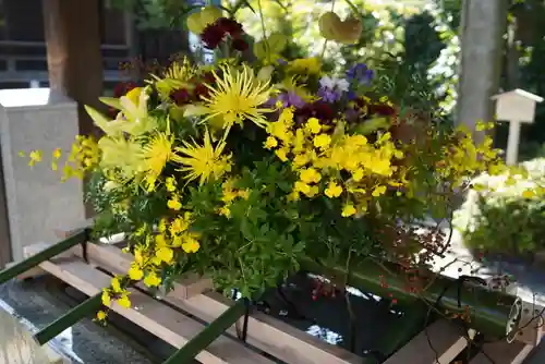松陰神社の手水舎
