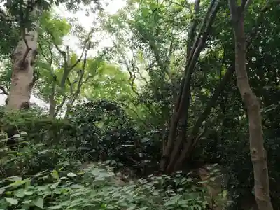 笠間稲荷神社の庭園