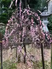 天満神社の自然