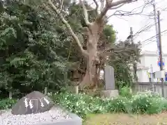 下総国三山　二宮神社の建物その他